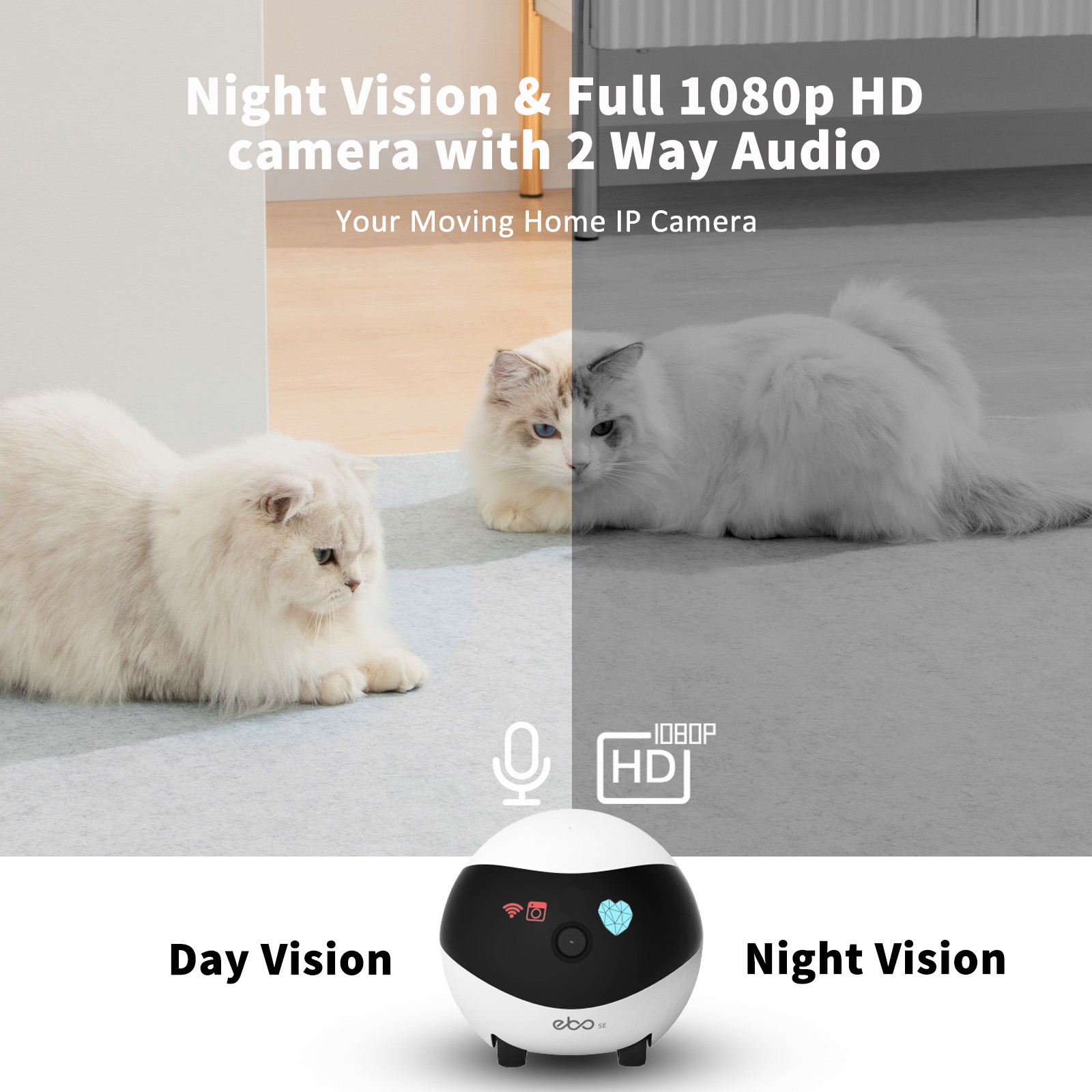 EBO SE Akıllı Ev Robotu Yardım - Home Security Robots incelemesi ve fiyatı